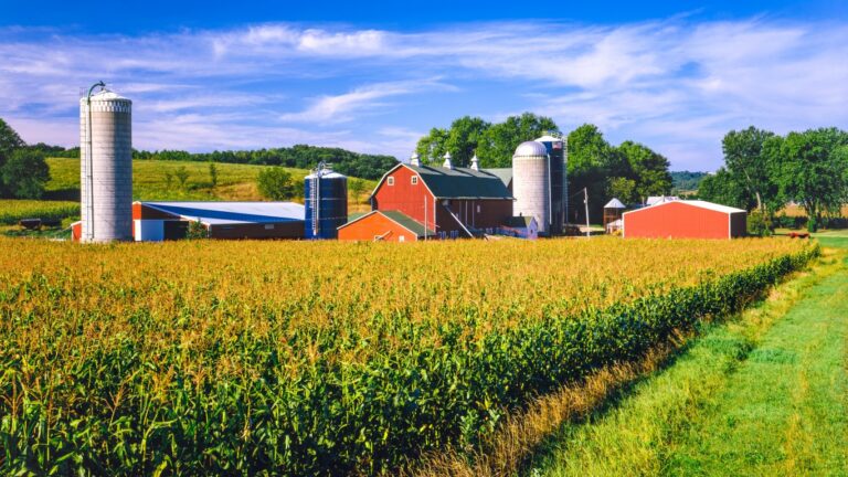 Renewables Ruin the view! That’s not your call, say farmers who see double green (Clean air and cash).