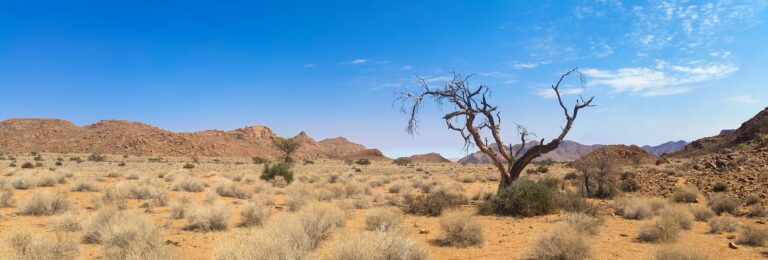 The Hottest Place In The World Today   116 Degrees