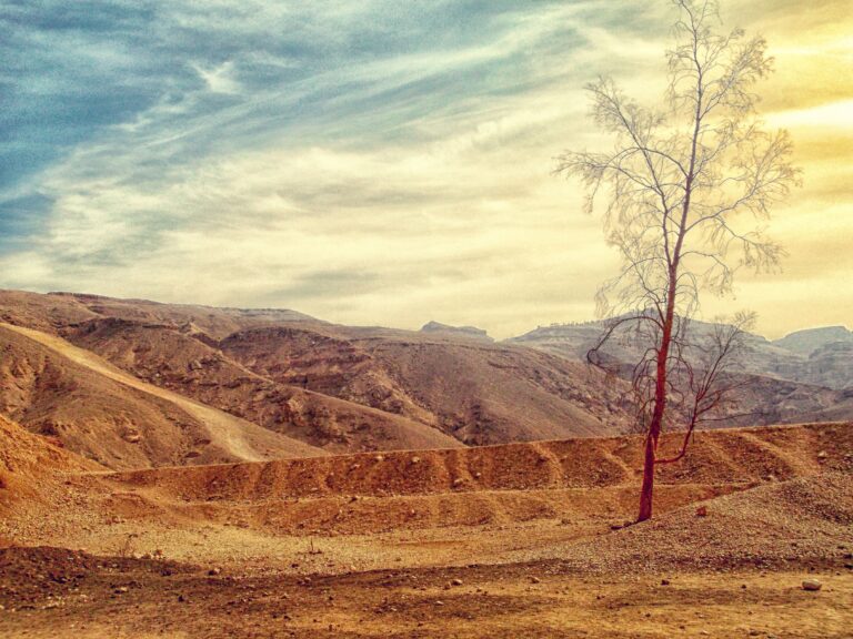 The Hottest Place In The World Today 117 Degrees