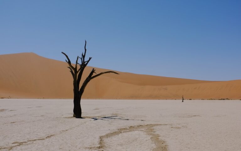 The Hottest Place In The World Today 110 Degrees