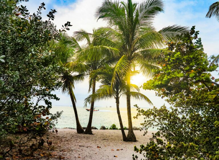 Miami To Let People Suffer In Extreme Heat
